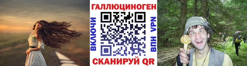 наркошоп  Щигры  Галлюциногенные грибы мухоморы 